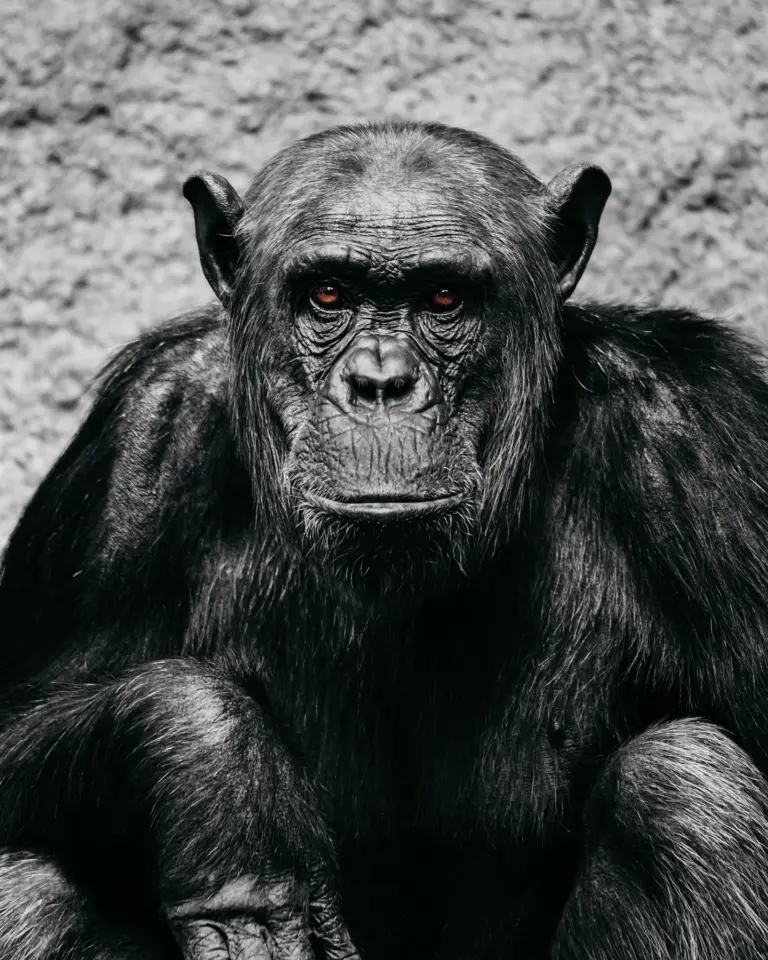 Instagram post from atelier.silberkorn. This post is in position 6.